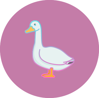 Goose