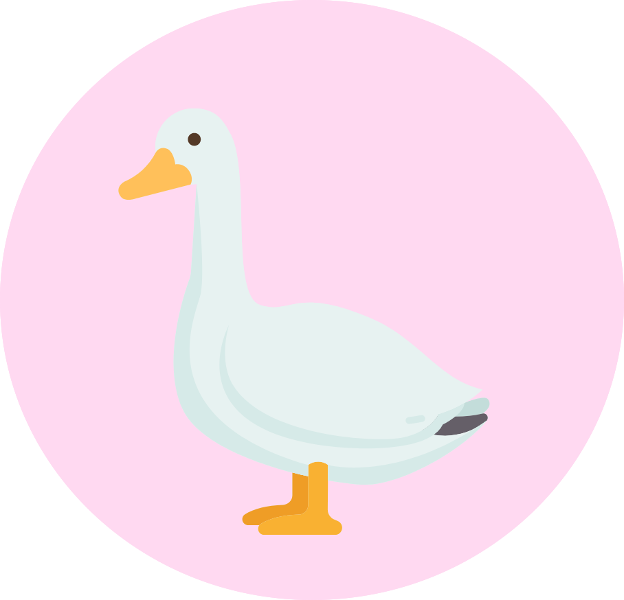 Goose